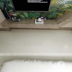 Ảnh Gạch Taicera P87763N 4