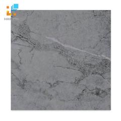 Ảnh Gạch Taicera GP68818 1