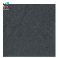 Ảnh Gạch TAICERA P6060 STGA 1
