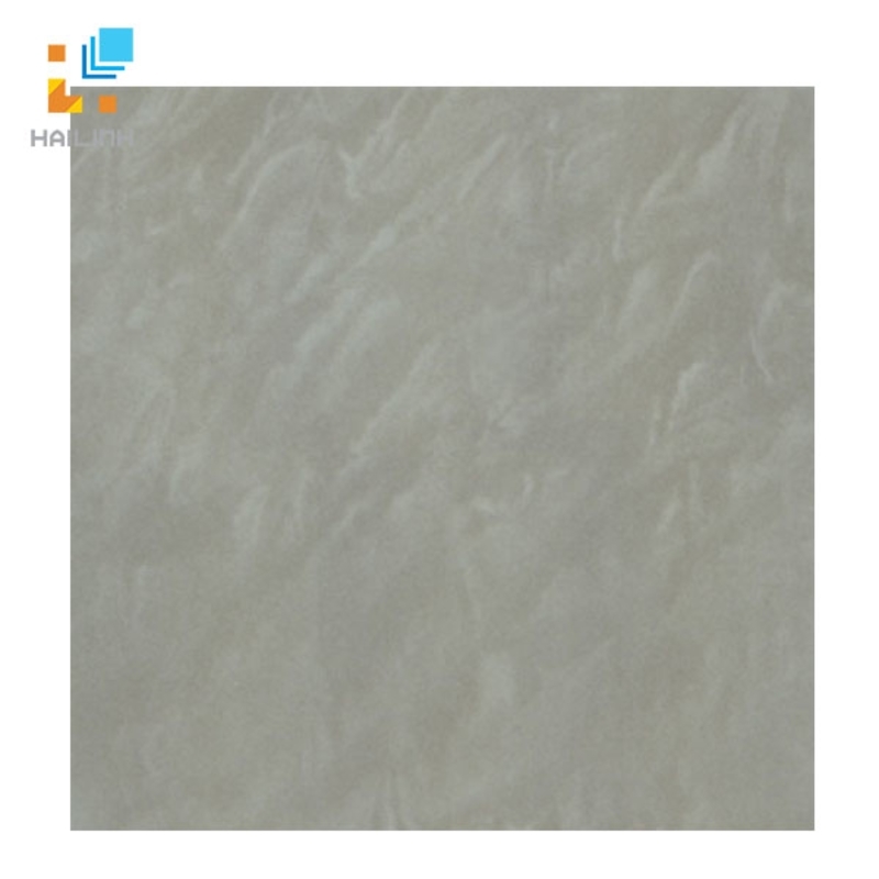 Gạch Taicera P67048N