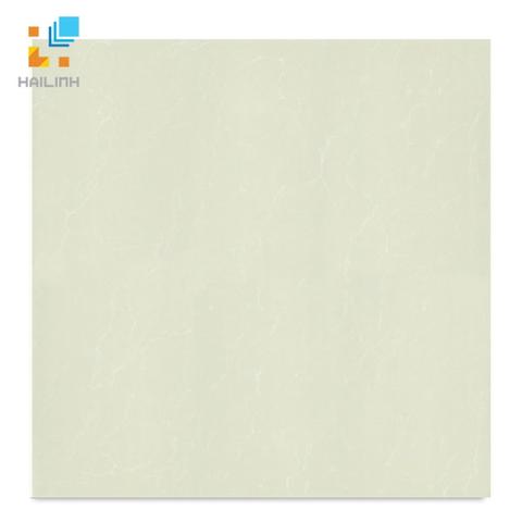 Gạch Taicera P67763N