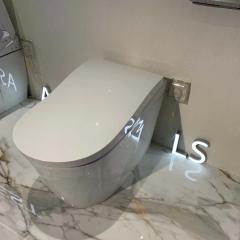 Ảnh Bồn cầu thông minh TOTO CS911VT/TCF87120GAA/T53P100VR 3