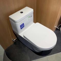 Ảnh Bồn cầu thông minh TOTO CW166RB/TC384CVK/T53P100VR 3