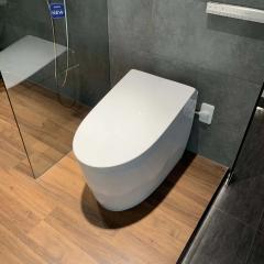 Ảnh Bồn cầu thông minh TOTO CS911VT/TCF87120GAA/T53P100VR 5