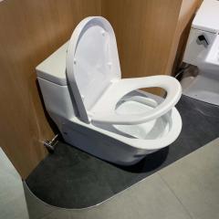 Ảnh Bồn cầu thông minh TOTO CW166RB/TC384CVK/T53P100VR 4