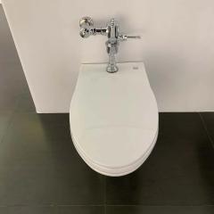 Ảnh Bồn cầu thông minh TOTO CW550#XW/TC393VS#W/HTS153S/TV150NSV6J 4