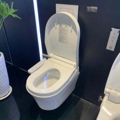 Ảnh Bồn cầu thông minh TOTO CW553C/TCF33370GAA/WH172AT/TCA465/MB170P 4