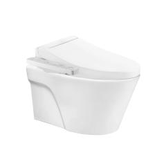 Ảnh Bồn cầu thông minh TOTO CW822REA/TCF23460AAA/WH172AT/TCA465/MB170P 4