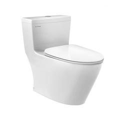 Ảnh Bồn cầu 1 khối Viglacera Platinum P.11.320 1