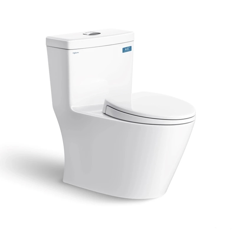 Bồn cầu 1 khối Viglacera V62