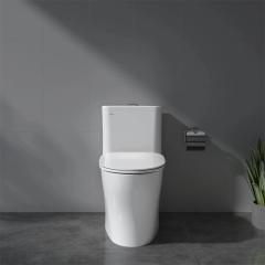 Ảnh Bồn cầu 1 khối Viglacera V63 3