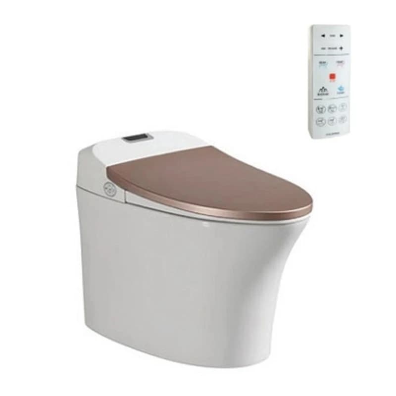 Bồn cầu thông minh Viglacera V93GW
