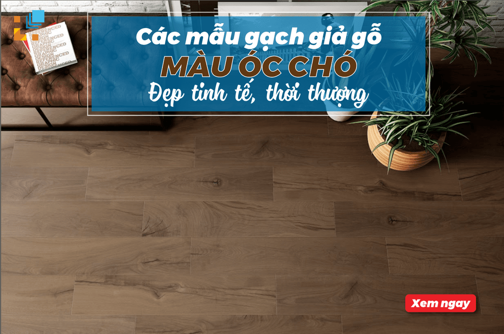 Top các mẫu gạch giả gỗ màu óc chó đẹp tinh tế, thời thượng