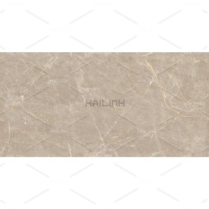 Gạch Ấn Độ CSI612149