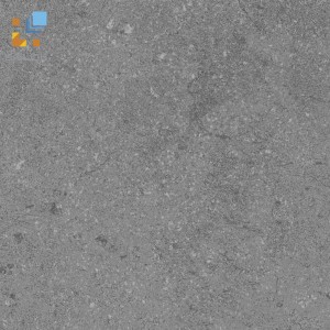 Gạch Viglacera PH22-B11