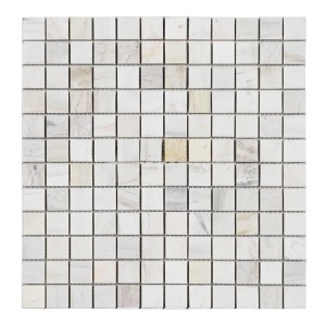 Gạch Mosaic 25PV001.2