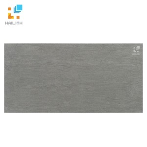 Gạch Taicera G63987