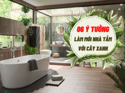 Làm mới không gian nhà tắm với cây xanh, tại sao không?