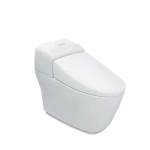 Bồn cầu 1 khối inax AC-1032VN