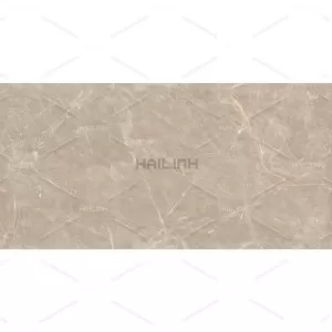 Gạch Ấn Độ CSI612149