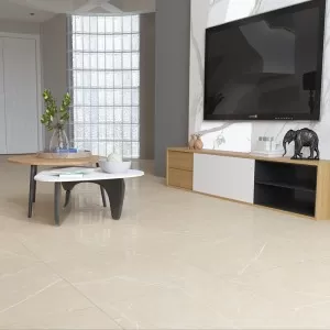 Gạch Ấn Độ CSI66119 60x60 màu Beige