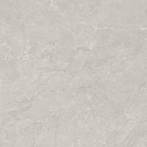 Gạch Ấn Độ CSI88138