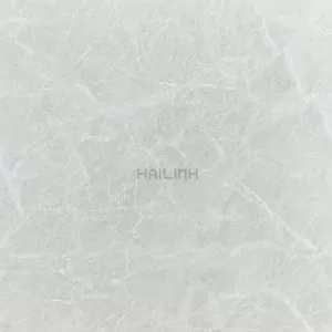 Gạch Ấn Độ CSI88177