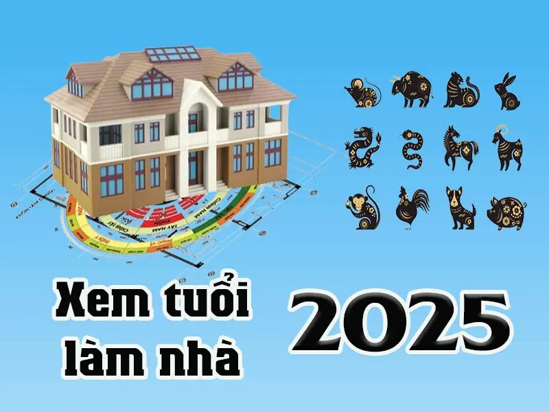 cac tuoi hop lam nha 2025 copy