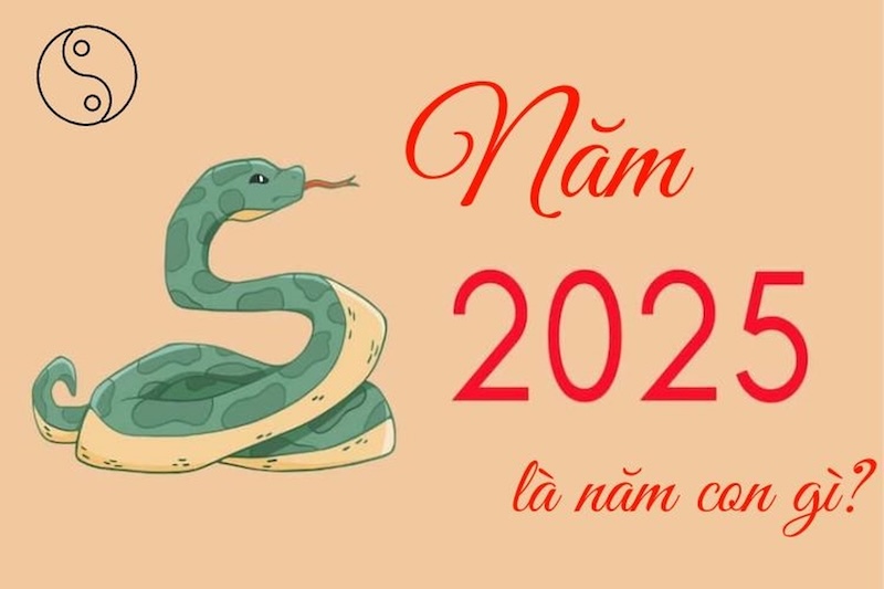 nam 2025 la nam con gi