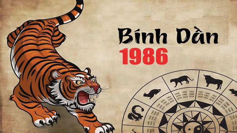 sinh nam 1986 binh dan menh hoa