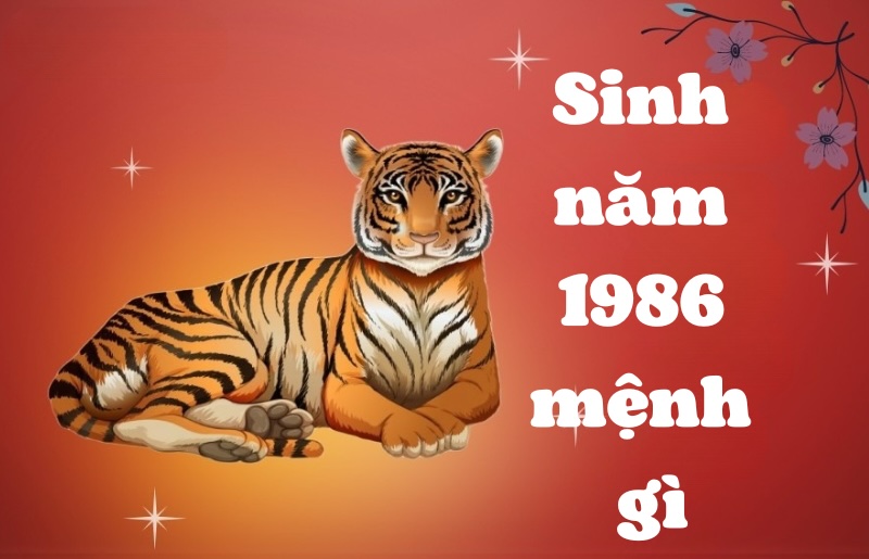 sinh nam 1986 mang menh hoa