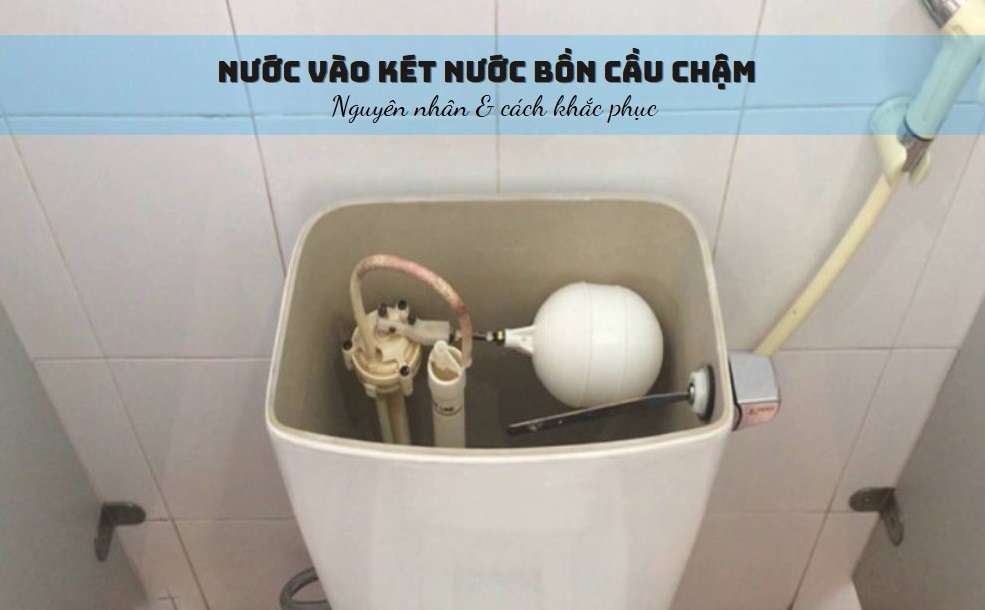 bon cau vao nuoc cham