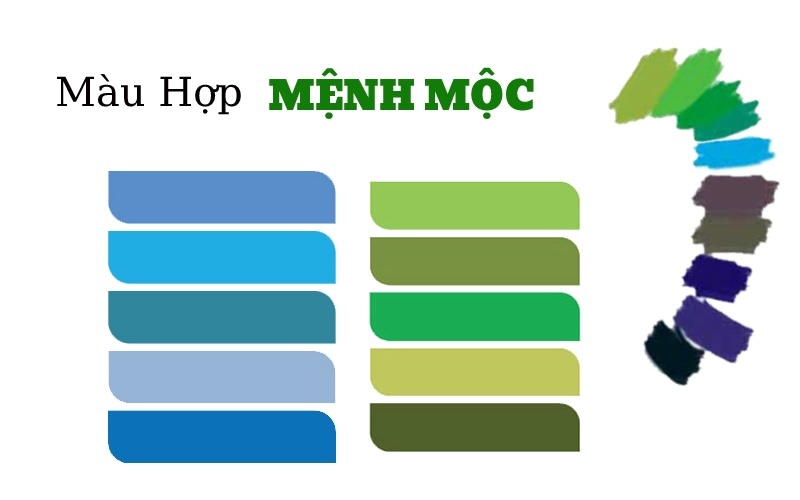 mau tuong sinh menh moc